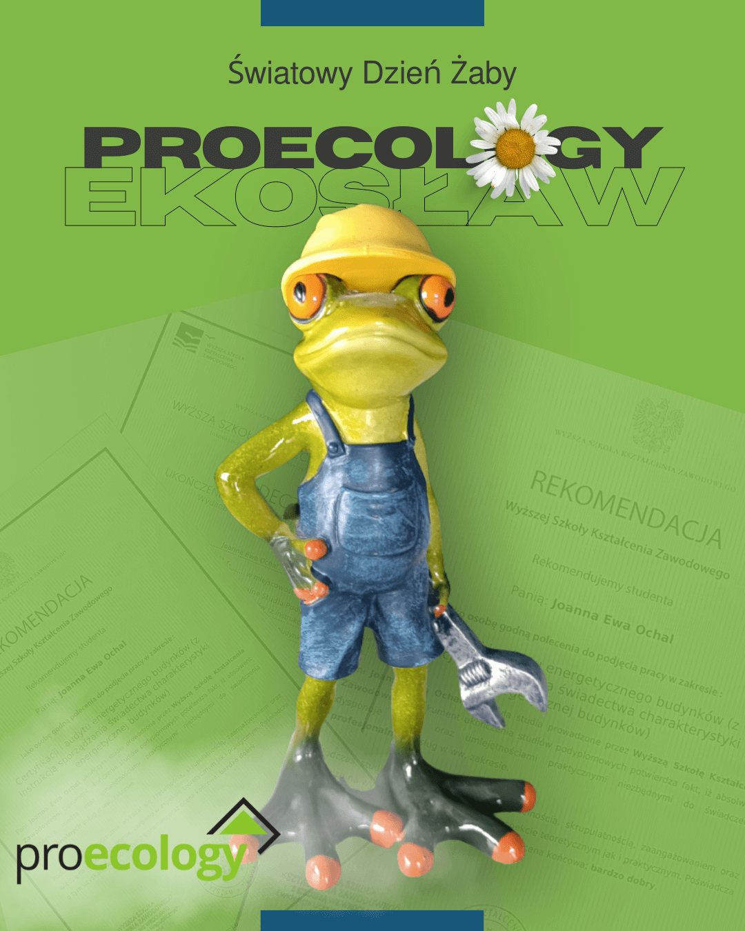 Today We Celebrate World Frog Day with Ekosław! How Proecology Cares for a Green Future and Frogs